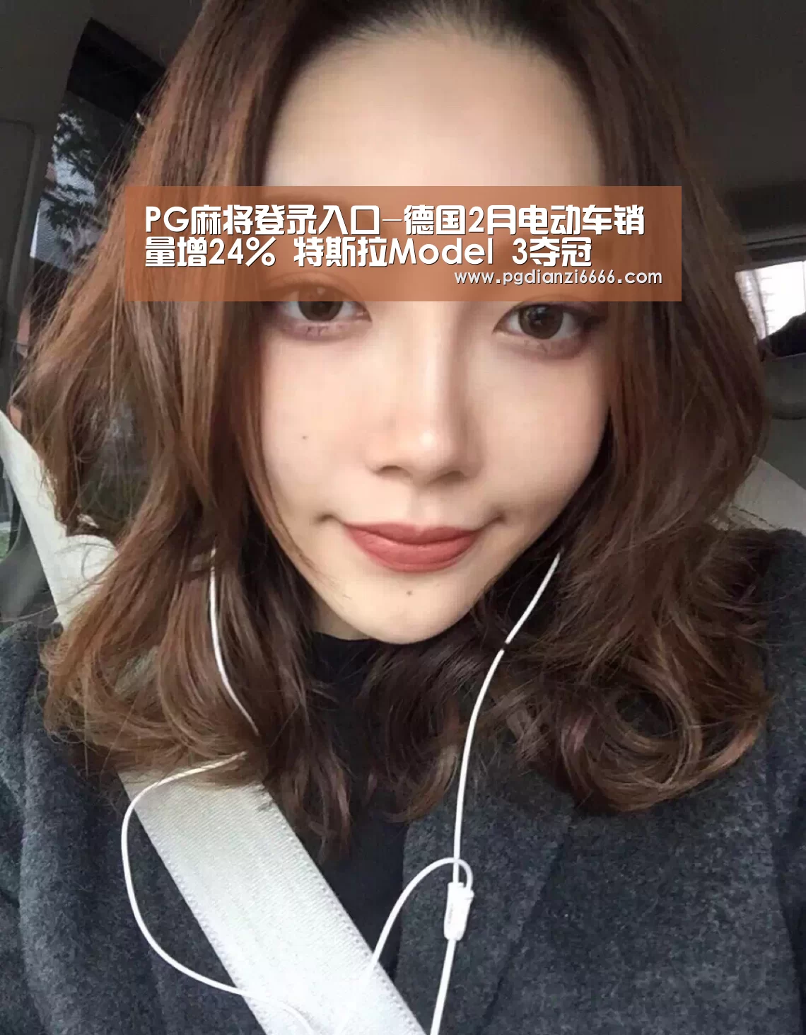 PG麻将登录入口-德国2月电动车销量增24% 特斯拉Model 3夺冠(图1) PG麻将登录入口