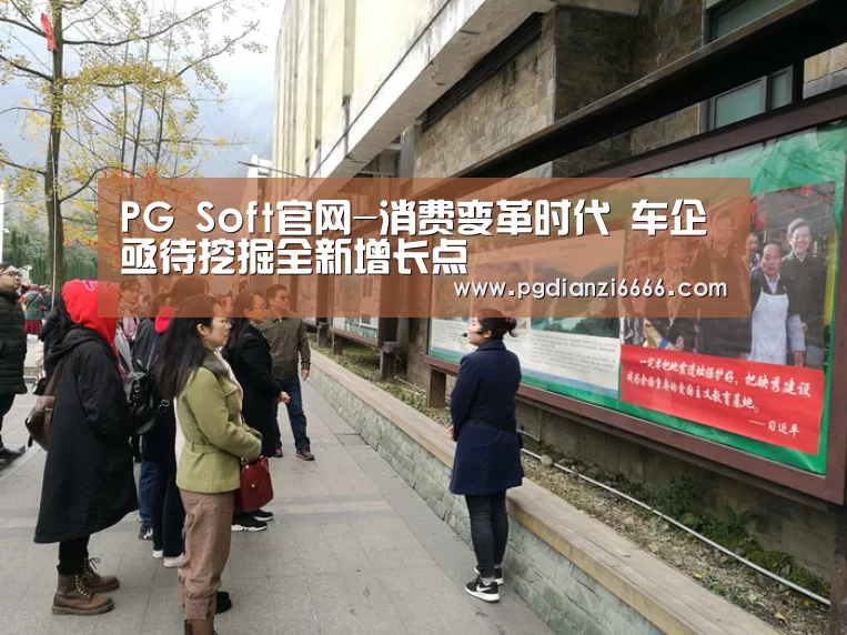 PG麻将登录入口