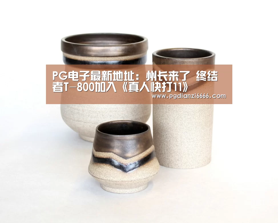 PG电子最新地址:州长来了 终结者T-800加入《真人快打11》(图2) PG麻将登录入口