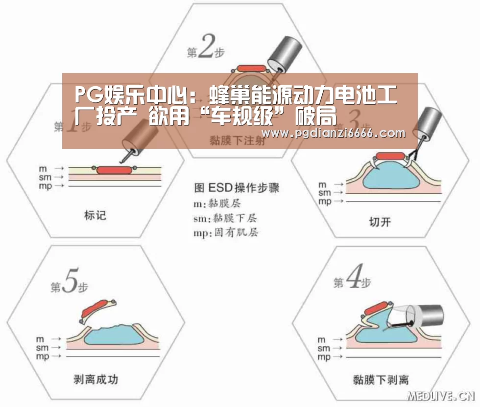 PG娱乐中心:蜂巢能源动力电池工厂投产 欲用“车规级”破局(图1) PG电子最新地址