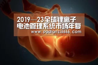 2019—23全球锂离子电池管理系统市场年复合增26%“PG娱乐中心”(图1) PG麻将登录入口